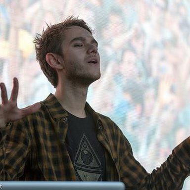 Zedd photo 39