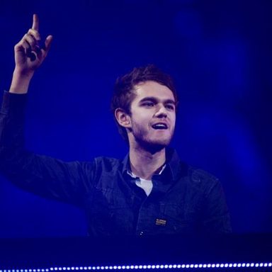 Zedd photo 13