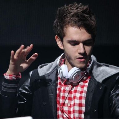 Zedd photo 14
