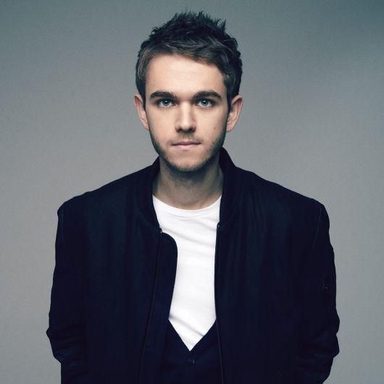 Zedd photo 32