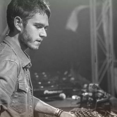 Zedd photo 49